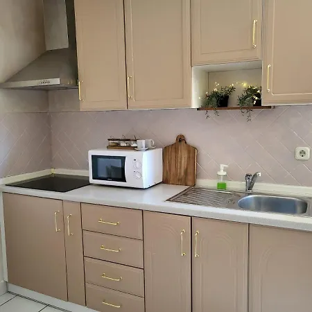 公寓 Grgic 奈维斯